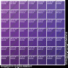 Casino Layout Fabric Samples